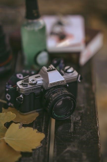 manual canon 350d