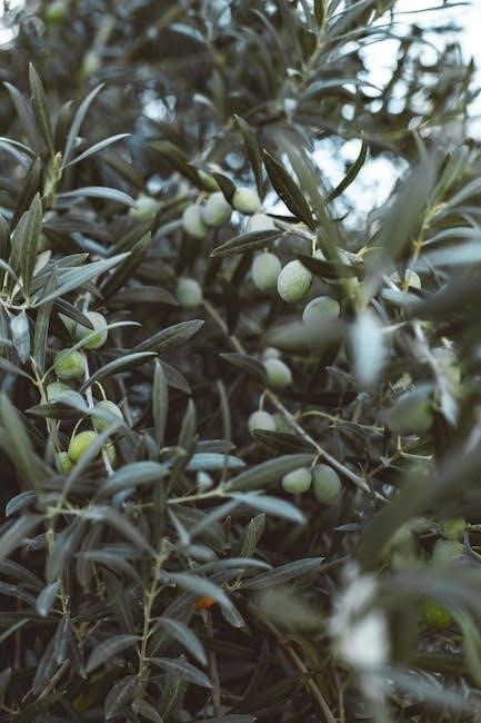plant paradox food list pdf