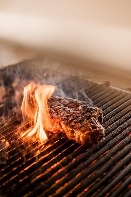 char broil gas grill manual