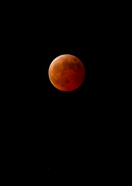 total eclipse by annie dillard pdf